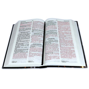 Biblia RVR 1960 Letra Grande 12.5 puntos Tamaño Manual Tapa Flex Espada