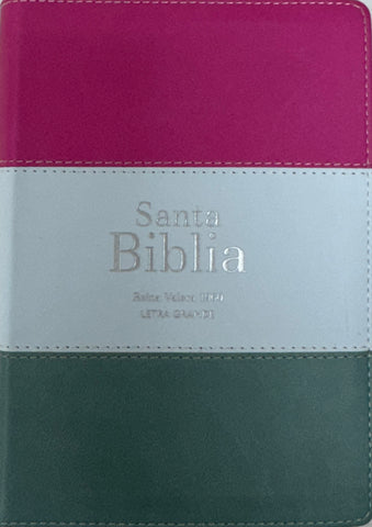 Image of Biblia RVR 1960 Compacta Letra Grande 11 puntos Símil Piel Magenta Verde Glacial Verde Grisaceo con Cierre y Índice