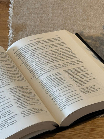 Image of El Nuevo Testamento Griego Edición del Lector
