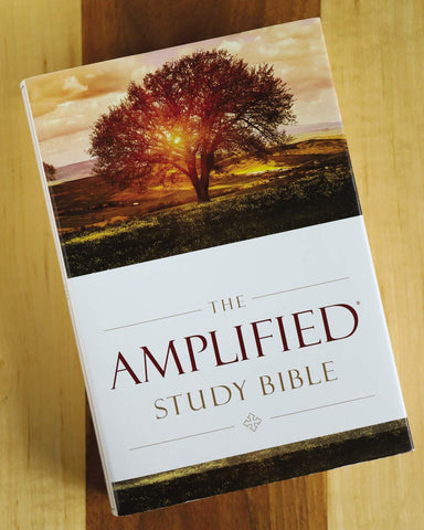 Image of THE AMPLIFIED STUDY BIBLE, HARDCOVER