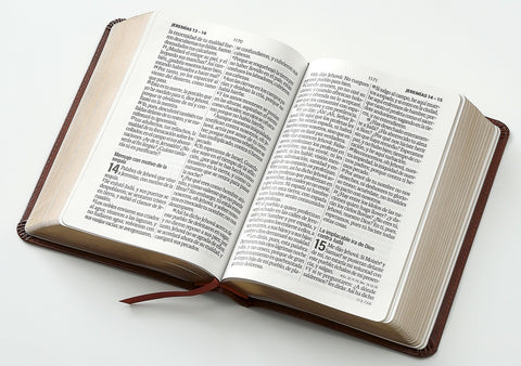 Image of Biblia RVR 1960 Letra Grande Tamaño Manual Neoclassic Café Claro Símil Piel