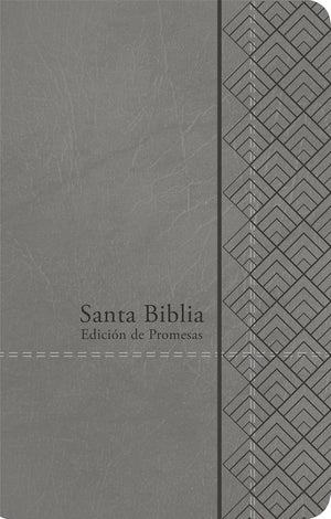 Biblia RVR 1960 Letra Grande Tamaño Manual Gris Símil Piel