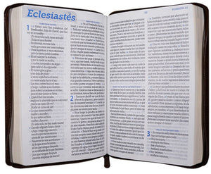 Biblia TLA El Camino La Verdad y La Vida Mediana Letra Grande Símil Piel Marrón