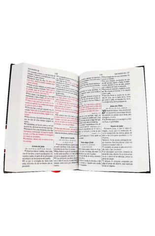 Image of Biblia RVR 1960 Letra Grande Tapa Dura