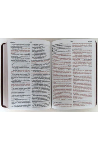 Image of Biblia RVR 1960 Letra Grande Tamaño Manual Piel Marrón