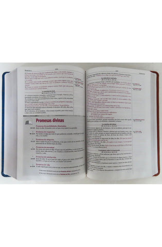 Image of Biblia RVR 1960 de Estudio Thompson Marrón Duo