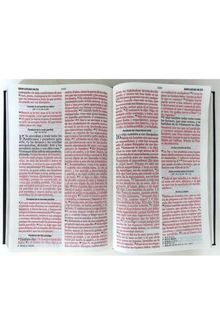 Image of Biblia RVR 1960 Letra Grande Tamaño Manual Tapa Flex Pastel Tricolor