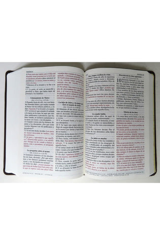 Image of Biblia RVR 1960 Letra Grande Marrón