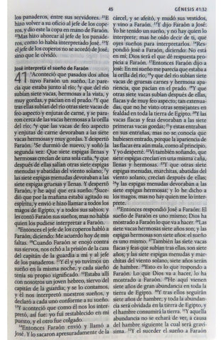 Image of Biblia RVR 1960 Letra Grande Tamaño Manual Flores Azules Tapa Dura