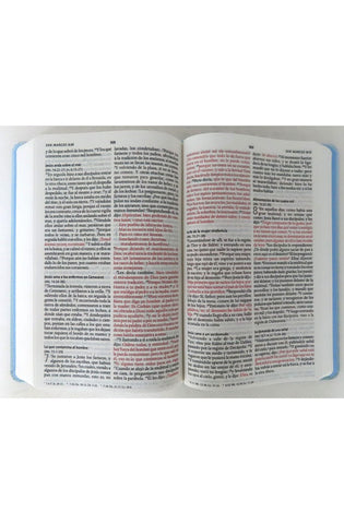 Image of Biblia RVR 1960 Letra Grande Tamaño Manual Flores Azules Tapa Dura