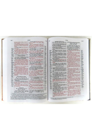 Image of Biblia RVR 1960 de Estudio Scofield Multicolor Tapa Dura