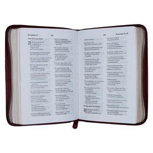 Biblia TLA Chica Letra Chica Símil Piel Café Cierre