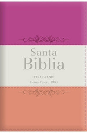 Biblia RVR 1960 Letra Grande Tamaño Manual Tricolor Guinda Crema Melón con Cierre con Índice