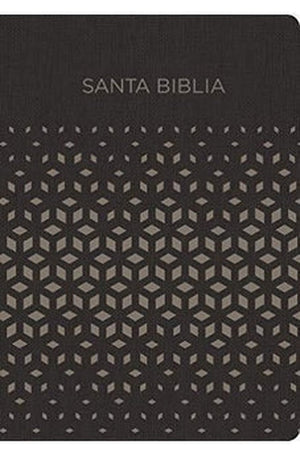 Biblia RVR 1960 para Regalos y Premios Negro Plata Símil Piel