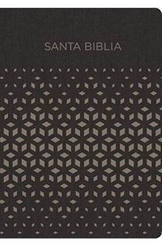 Image of Biblia RVR 1960 para Regalos y Premios Negro Plata Símil Piel