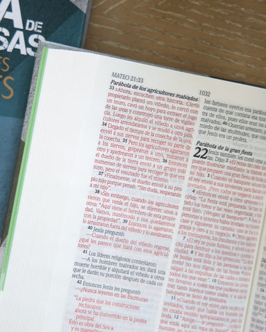 Image of Biblia NTV de Promesas Edición para Hombres Jóvenes Tapa Dura