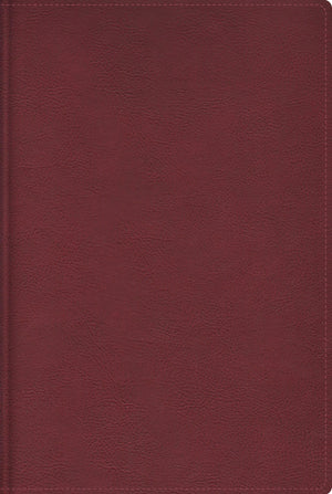 Biblia RVR de Estudio Trasfondo Cultural Piel Rojo Vino Interior a Color Comfort Print
