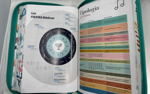 Image of Biblia RVR 1960 Letra GrandeTamaño Manual Jardín Turquesa Cierre Índice Símil Piel