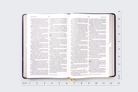 Image of Biblia RVR 1960 del Ministro Letra Gigante Piel Negro Palabras de Jesús en Rojo Comfort Print