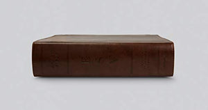 ESV STUDY BIBLE (TRUTONE, CHESTNUT)