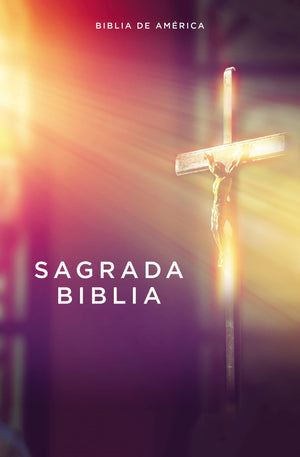 Biblia de América Católica Económica Rústica