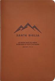 Biblia NTV Compacta con Filament Símil Piel Café