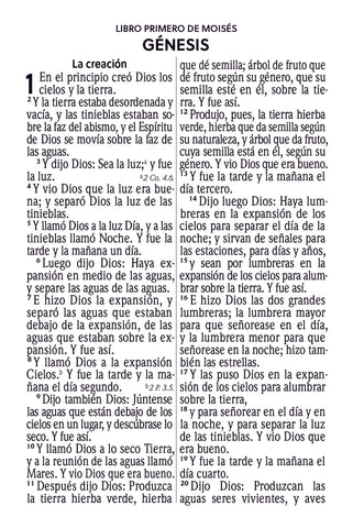 Image of Biblia RVR 1960 Compacta Letra Grande 11 puntos Símil Piel Rosado Claro