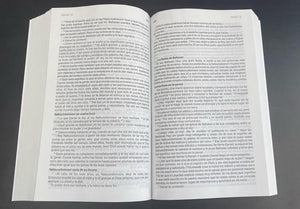Biblia BLB Lenguaje Básico Interruptor Rústica