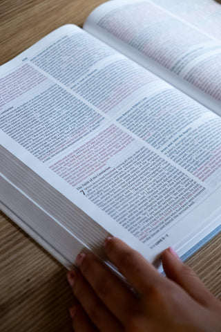 Image of Biblia Bilingüe NVI NIV Tapa Rústica