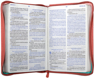 Biblia TLA Valiosa Mediana Letra Grande Símil Piel Rosa Verde